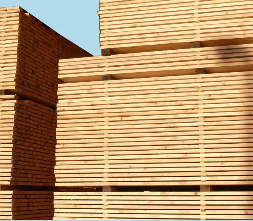 Schalung/K&uuml;rzungen Fi/Ta 24 x 200 mm