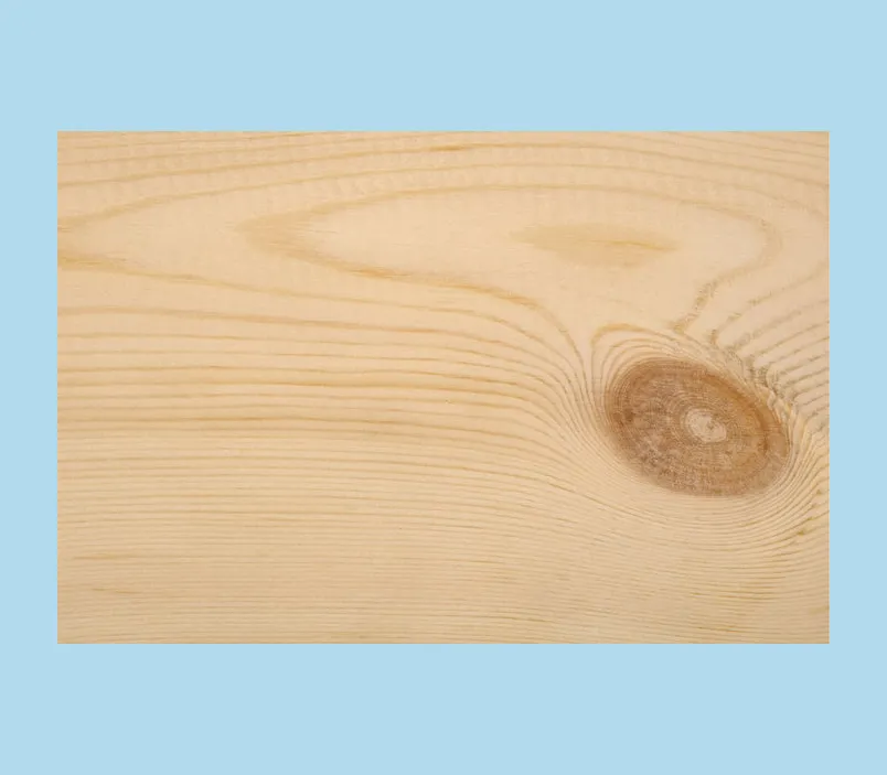 Kiefer Stammware 75 mm KD