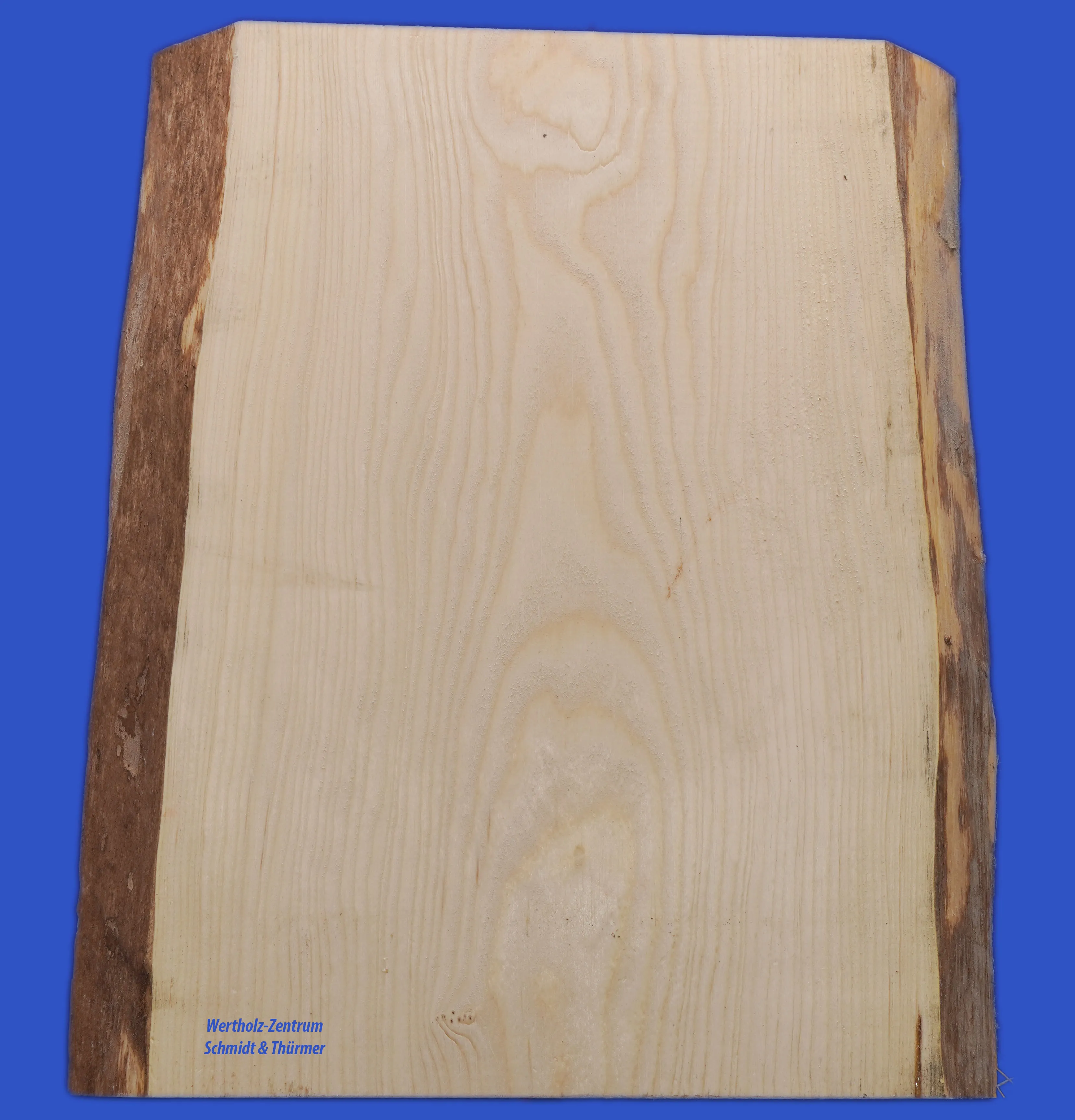 \\192.168.200.27\b2b-shop\Shopbilder\141_TischlerWare\Shop\Fichte.jpg