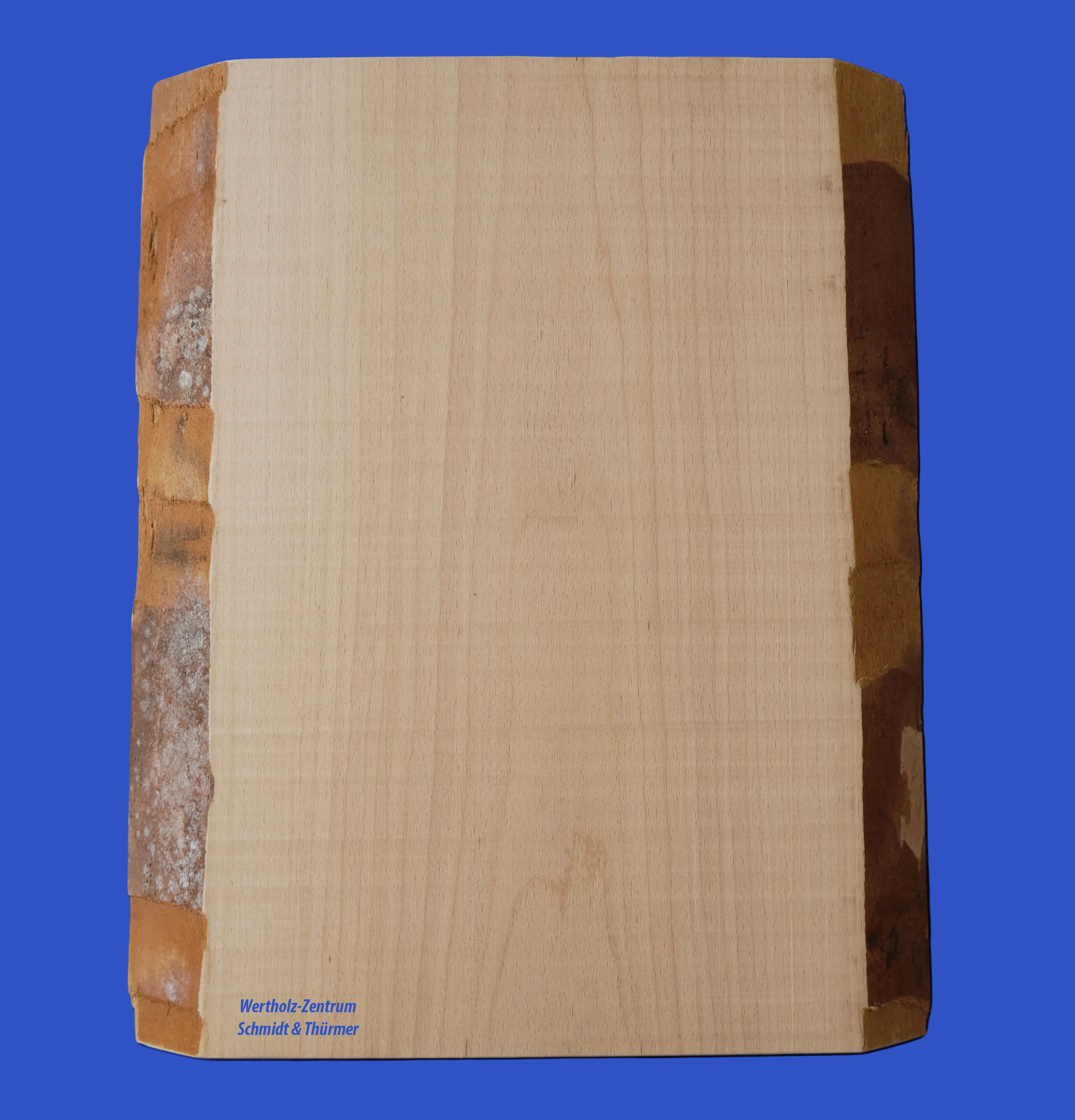 Buche Stammware 27 mm