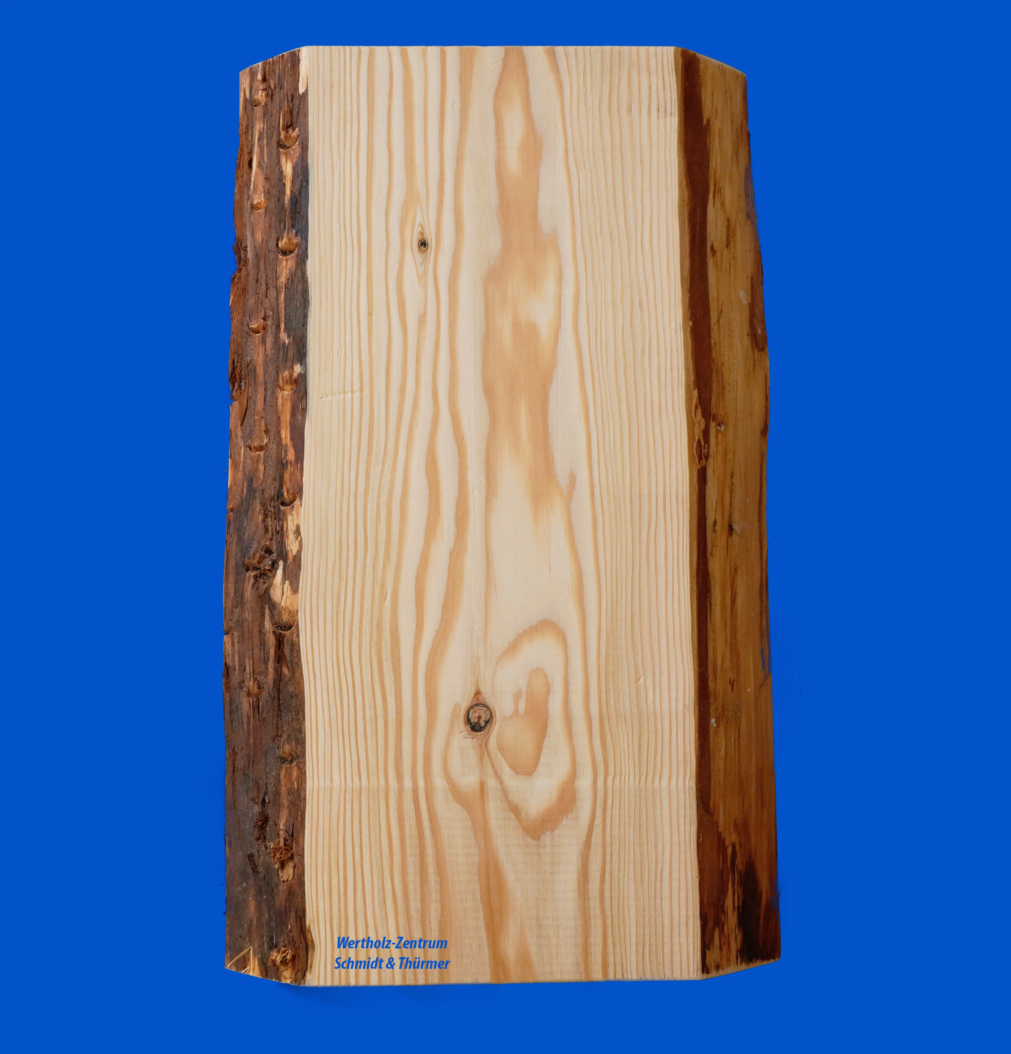 \\192.168.200.27\b2b-shop\Shopbilder\141_TischlerWare\Shop_Bilder\SuT_Bilder\Douglasie.jpg
