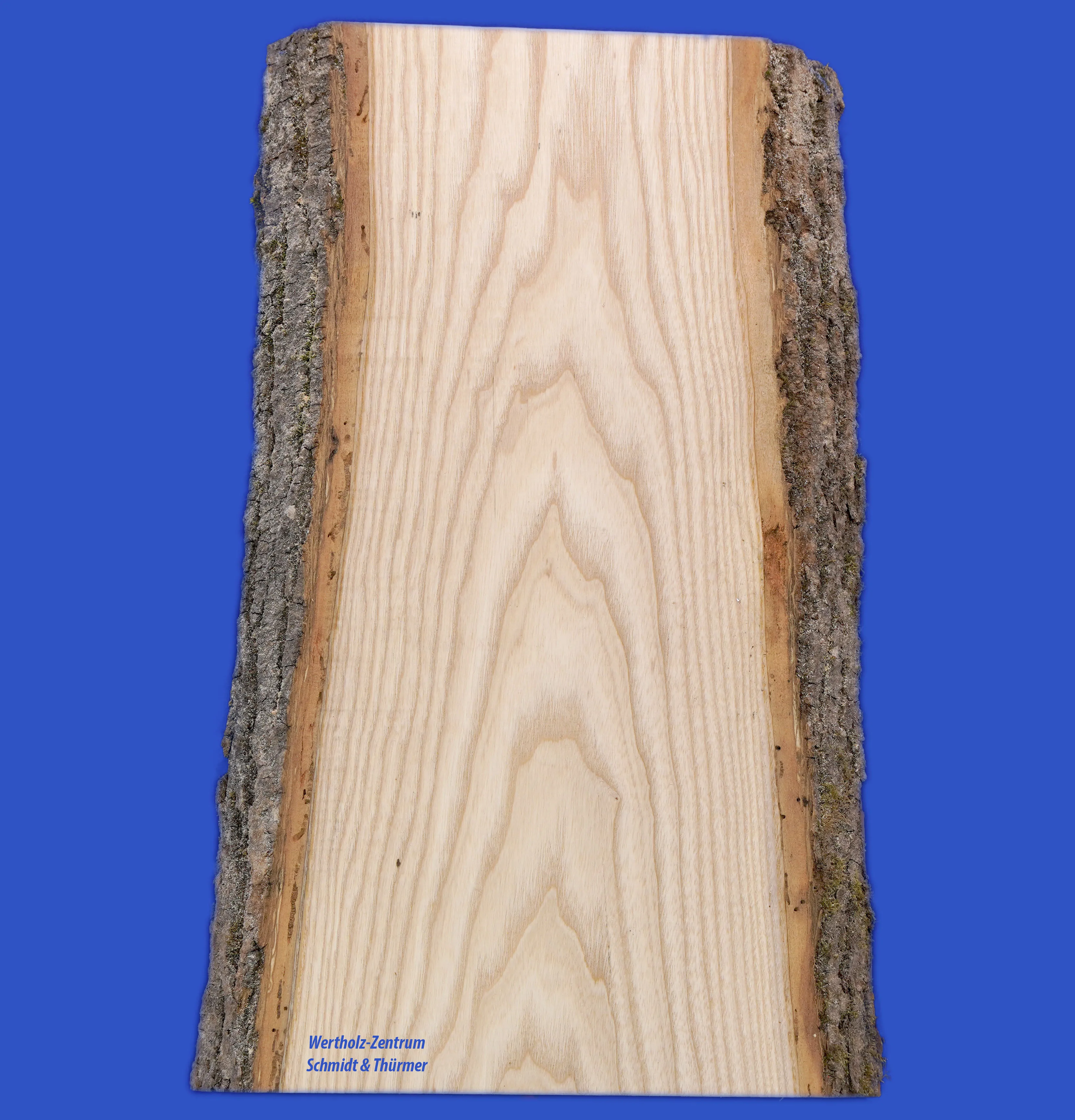 \\192.168.200.27\b2b-shop\Shopbilder\141_TischlerWare\Shop\Esche_wei&szlig;.jpg