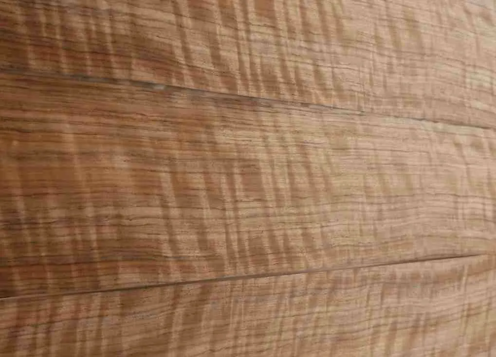 Amazakoue. besäumt 52 mm KD