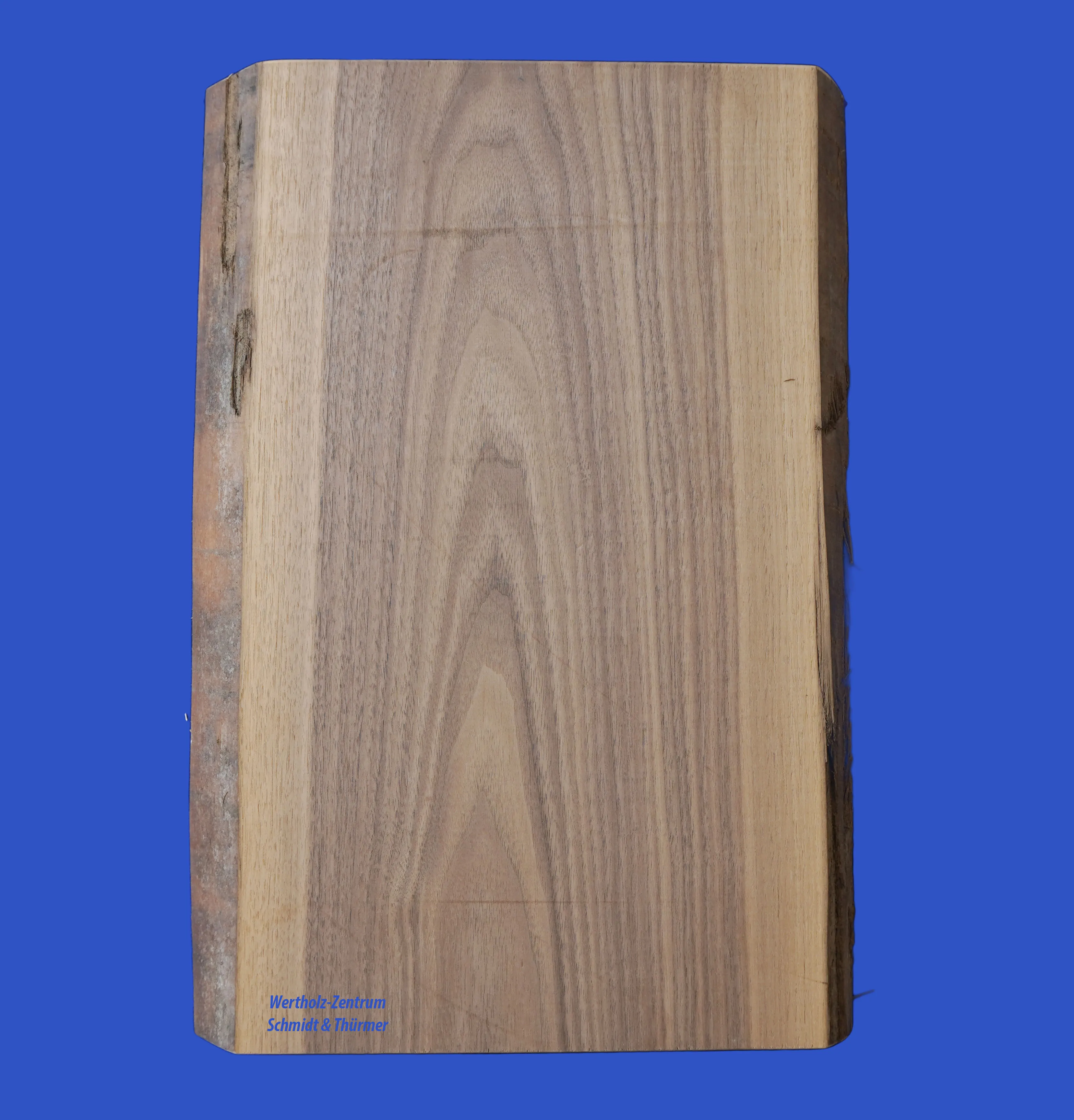 Nussbaum Stammware 26 mm KD
