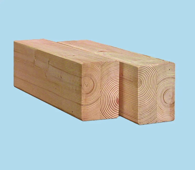 \\192.168.200.27\b2b-shop\Shopbilder\171_Duolam\Shop\DuoLam_Doug.jpg