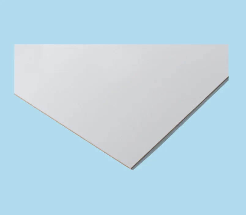 \\192.168.200.27\b2b-shop\Shopbilder\362_HDF_Platten\Shop\HDF-R&uuml;WaPlatte_Wei&szlig;.jpg
