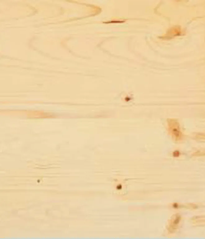 \\192.168.200.27\b2b-shop\Shopbilder\370_LHPla_NoName\Shop\Fichte.jpg