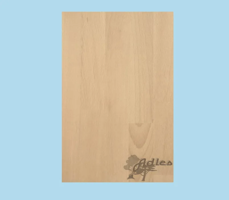 \\192.168.200.27\b2b-shop\Shopbilder\370_LHPla_Adles\Shop\buche_KZ.jpg