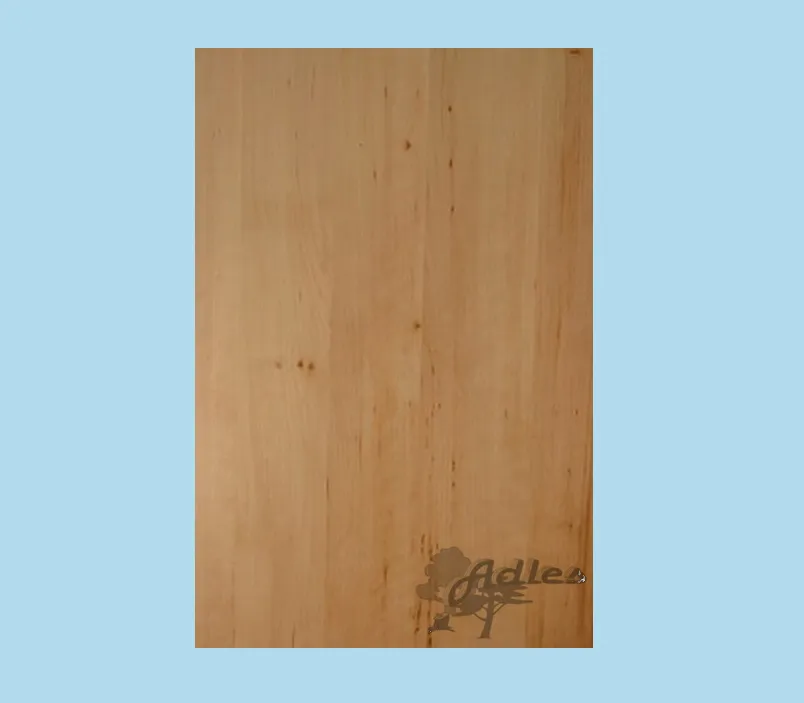 \\192.168.200.27\b2b-shop\Shopbilder\370_LHPla_Adles\Shop\erle_DL.jpg