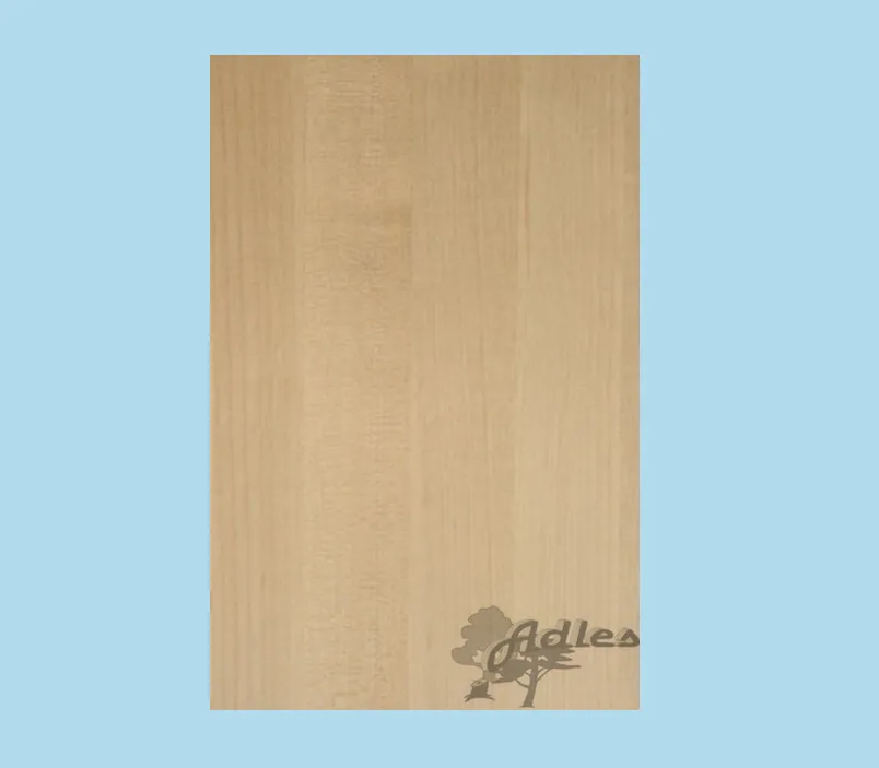 \\192.168.200.27\b2b-shop\Shopbilder\370_LHPla_Adles\Shop\ahorn_DL.jpg