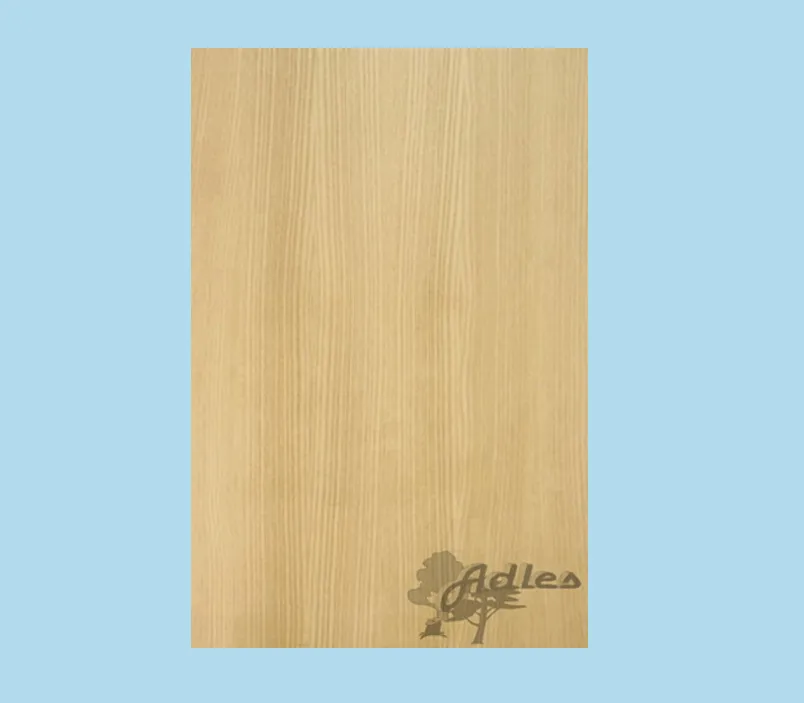 \\192.168.200.27\b2b-shop\Shopbilder\370_LHPla_Adles\Shop\esche_DL.jpg