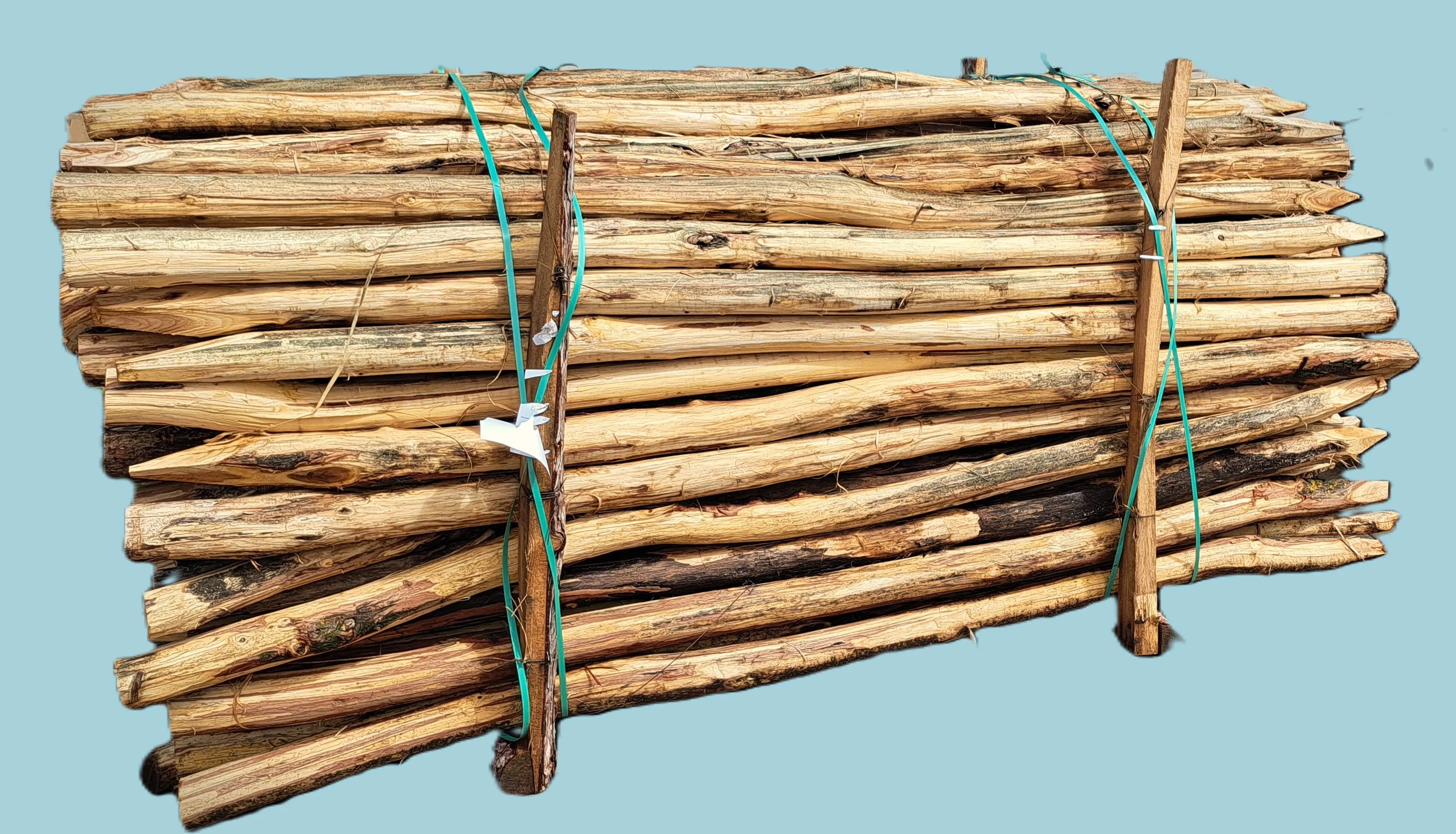 \\192.168.200.27\b2b-shop\Shopbilder\711_Gartenholz\Robinie_Pfahl.jpg